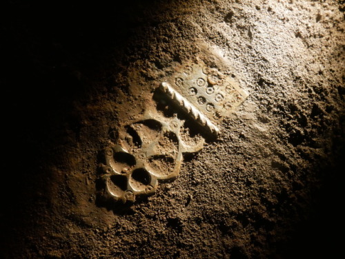 Viking items unearthed at the Jorvik site, York, June 2017.