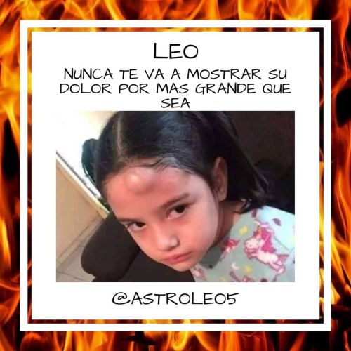 teamleoking
