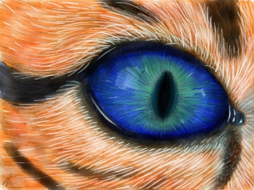 My Wild Painting Work In Progress 3 Color - Made With Paper