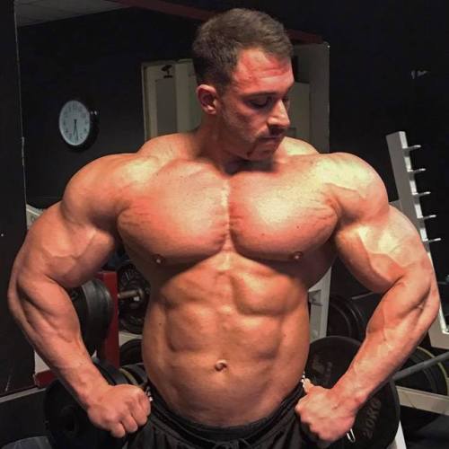 wrestlehead:Kevin Wolter 🐵