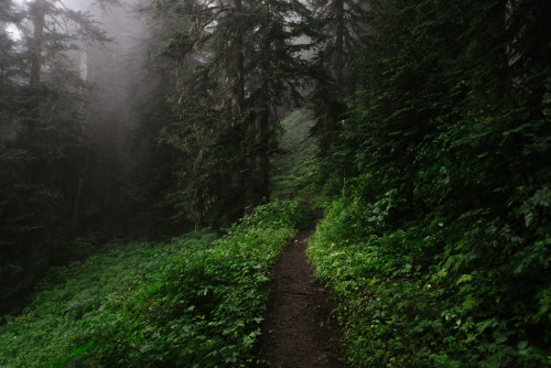 wanderthewood:  North Cascades National Park, Washington by ErikHGPhoto 