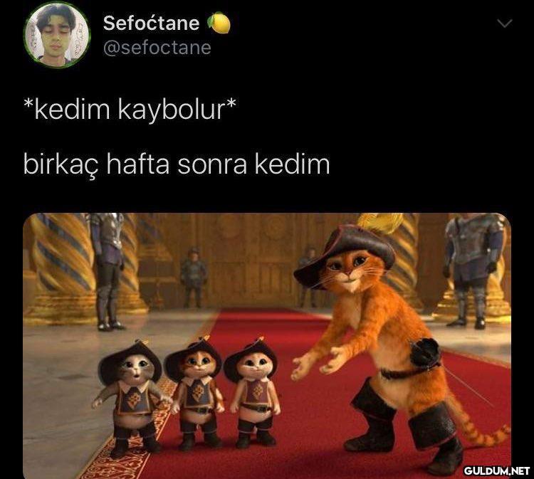 Jeky Sefoćtane @sefoctane...