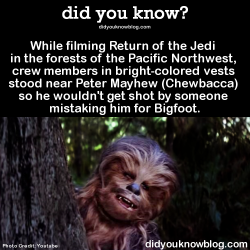 unrepentantwarriorpriest: did-you-kno:   Source   Priceless   Haha which of my neighbors almost shot chewy thinks he was squatch?! 😂