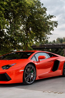 d-f-e:  Aventador | D-F-E       