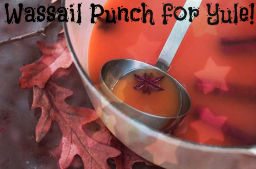 lunablivion: This is my favorite recipe for Wassail punch! It’s extremely easy to make, too. H