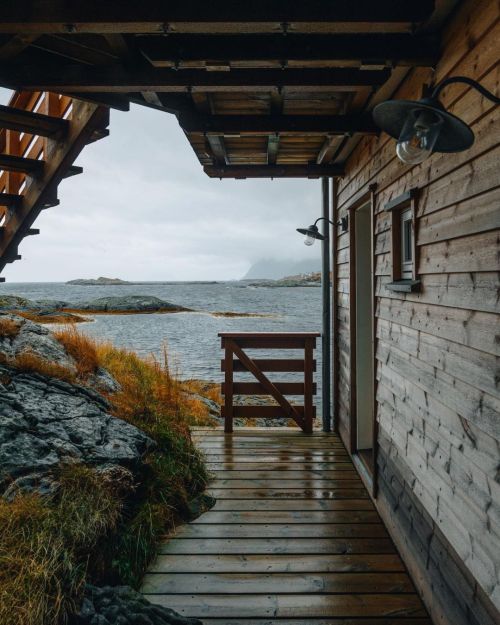 wild-cabins:  Copenhagen Wilderness  