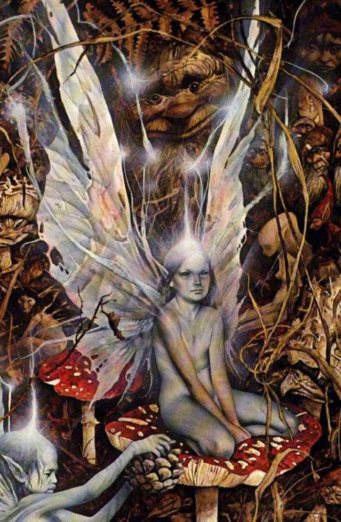 iloveillustrators:BRIAN FROUD1947-Country of Origin: EnglandTraining: Maidstone College of ArtNotabl