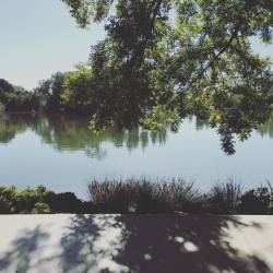 Peace, tranquility, nature all that&hellip;.. (at Woodward Park Japanese Garden)