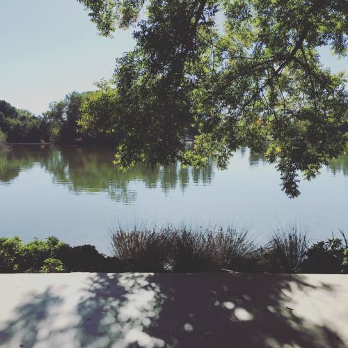 Peace, tranquility, nature all that….. (at Woodward Park Japanese Garden)