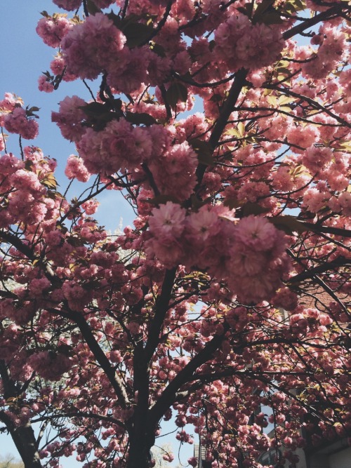 christiescloset:  Today. ❤️