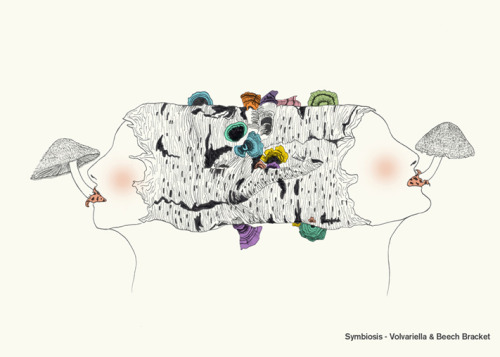 Symbiosis - Volvariella & Beech Bracket. The mushroom totem project. ink on paper and digital co