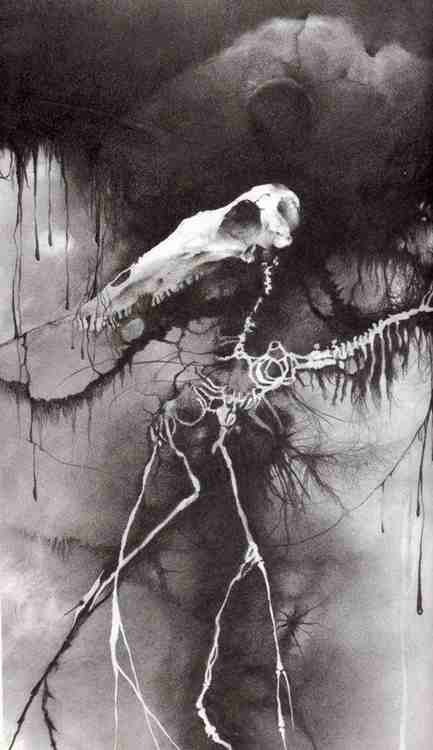  Gammell illustrations from ‘Scary Stories to Tell in the Dark’.     