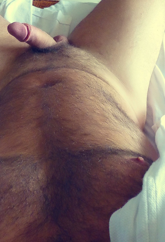 Maduros e Gordos Gostosos