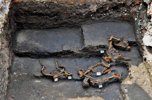 Archaeologists have discovered a unique &ldquo;dog cemetary&rdquo; underneath Mexico City. T