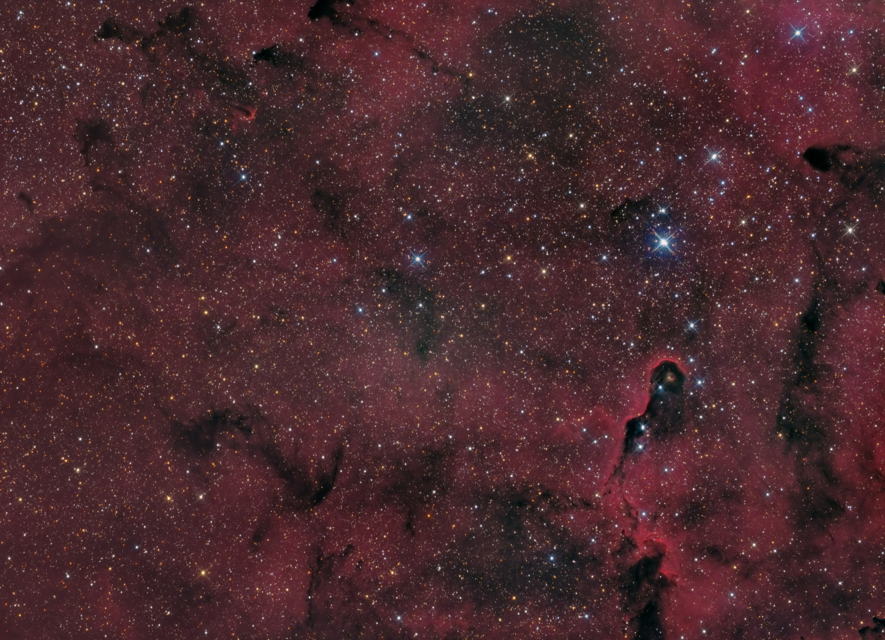 just&ndash;space:  Dark Nebulae in IC1396 js