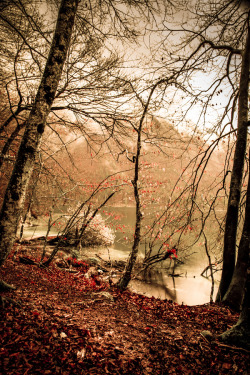 wowtastic-nature:  Raining by  David Butali