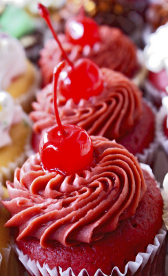 vegan-yums:  Sarkara Sweets Vegan Cupcakes by Sarkara Sweets on Flickr. 