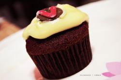 polengssss:  Red Velvet Cupcake (Vanilla