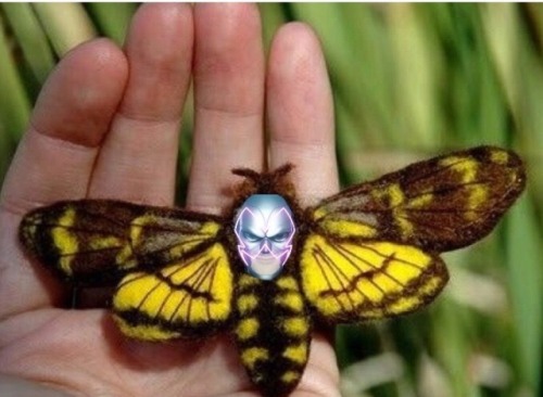 riarckleisendgame:I am Hawkmoth!!