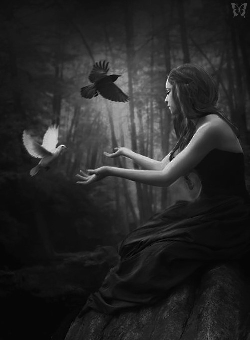 mightyaphrodite69: whitesoulblackheart:  Creating Balance by Phatpuppyart more edits