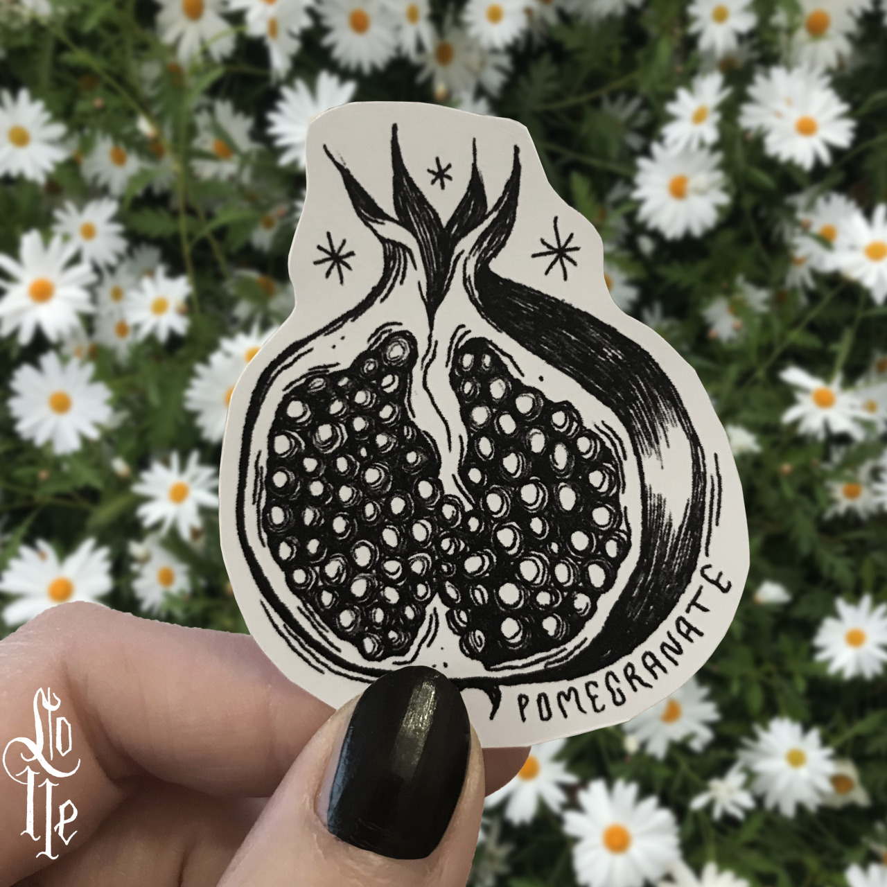 ✧  Take a look at the new Herbarium stickers set 🌱 now available on my shop || 👉🏻 tap to shop 🌿 🌙✨✶ each pack includes 11 original botanical themed illustrations, digitally printed (ink-jet) on high quality auto-adhesive paper ♡ I think these stickers are perfect to enrich your own Herbs grimoire or to decorate a recipes book 👌🏻🪴 ✨
- - - 
👉🏻 you can also find the same illustrations available as art prints and postcards set 🍃 || Herbarium ©Lolle (2022) #stickets#stickers set#herbarium#herbary#herbology#magical herbs#herbs#plants#botanical#nature#illustration#ink illustration#botanical illustration#art prints#postcards#LOLL3shop#lOll3#original art