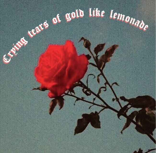 softrvses:Lana del rey- Ultraviolence
