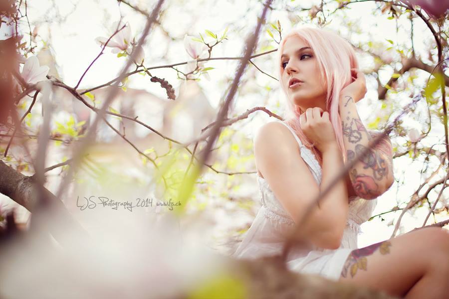 batsarequiet:  yeah, I climbed up a tree for that shot.totally worth it tho ahah