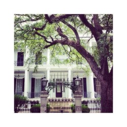 The Buckner mansion used as the school in Coven! #AHS #Coven #AmericanHorrorStory #AHSCoven #NOLA #NewOrleans #BucknerMansion #Buckner #travel #LA #Louisiana