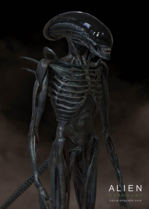 everything-alien-and-predator:Protomorph Concept Art for Alien: Covenant