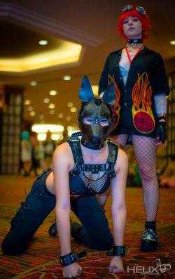 butlvr:  pup-kato:  pup-dax:  Ruuff! Empress and I at NDK this past weekend! *wags* We had fun, I got lots of scritches   Badass! I’m a jealous pup! x3   I would love to take her for a walk