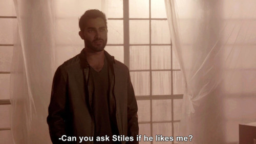 sterek