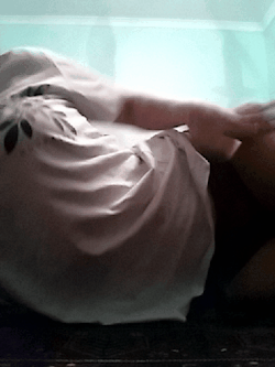 kittens-jaw:  I have another gif like this