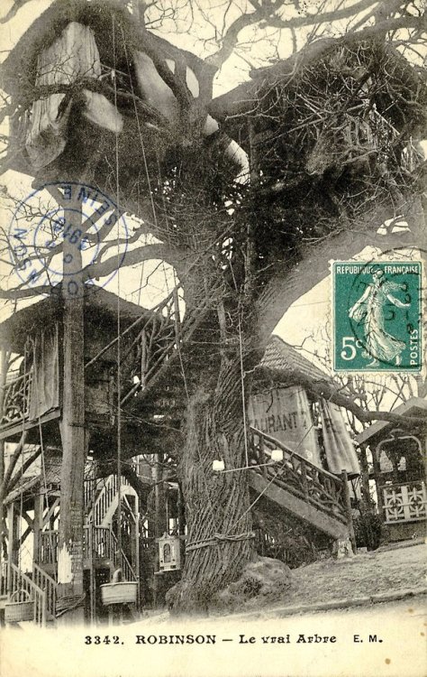 itscolossal: In 1848 A French Commune Built an Interconnected Treehouse Cabaret Based on Swiss Famil