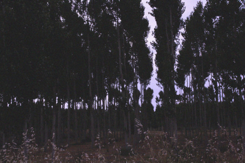 elarteestaentusojos