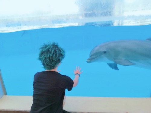 When Midoriya took me to the zoo park and tried to impress a dolphin and some parrots. Guess that wo
