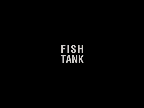 artfilmfan: Fish Tank (Andrea Arnold, 2009) cinematography: Robbie Ryan 