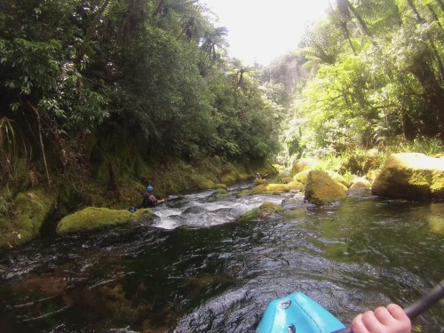 Paddled the most amazing river on the planet on Saturday! Waiari Gorge is spring fed and so clean yo