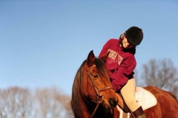 This is Lucia, she&rsquo;s the Arabian mare that I had while living down in DC. She&rsquo;s such a wonderful horse and companion. I shared many good moments w her and miss being able to see her in a regular basis. These pics were taken in December so