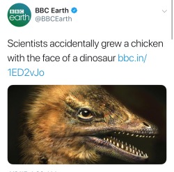 emptyheadgamer:  kedreeva:  Okay that’s fair, they didn’t accidentally do anything, but what they did was EXTREMELY COOL. They located a cluster of genes that were present in birds but NOT present in non-beaked creatures and then they turned it off.