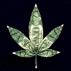 higheramerica:  Whoever said money can’t buy happiness never smoked weed…  Follow higheramerica