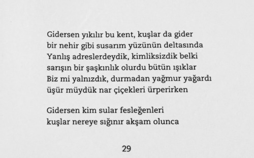 alaveredalavereisler:  “Gidersen yıkılır bu kent kuşlar da ölür bir tufan olurum sustuğun her yerde”