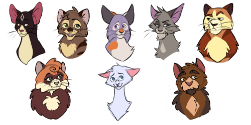 Bruna - Warrior Cats Character Designs