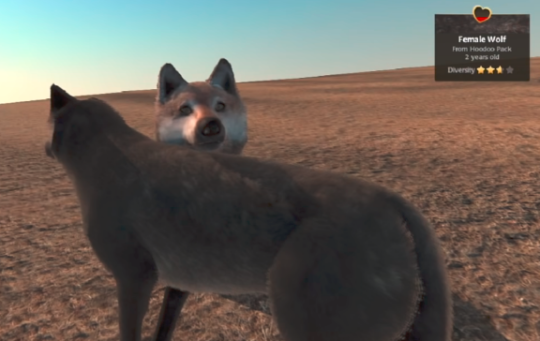 thefireboundmage: Wow, A lot of people Might recognize this game from the very early 2000s! Wolfquest started out as a free game that was meant to help educate people about wolves and help them understand. It later even got an online mode so you could