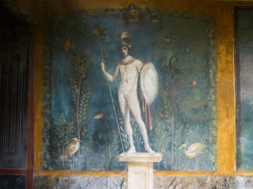 Wall painting in the House of Venus, Pompeii.