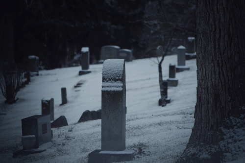 graveplaces: Soft snows at the graveyard