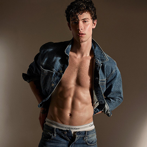 thedailyshawnmendes:  Shawn Mendes for Calvin Klein