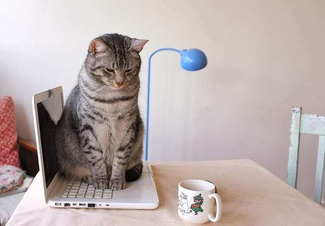 celeritious:  untitled by mieke v. willems on Flickr.