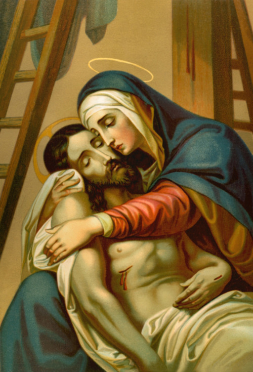 catholicsoul:The seven Aves, IN HONOUR OF MARY MOTHER OF DOLOURS Any one who will recite, with 