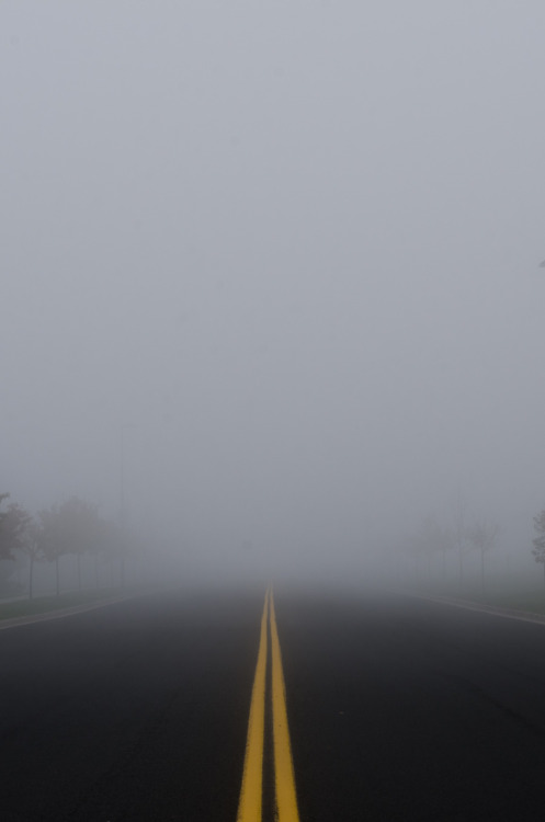 Foggy Road