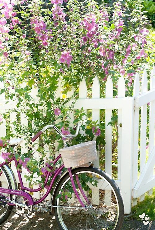 heartspirations: ✿✿ ◦.¸¸.◦Secret Garden◦.¸¸.◦✿ ✿ | *Credits to photo owner* 